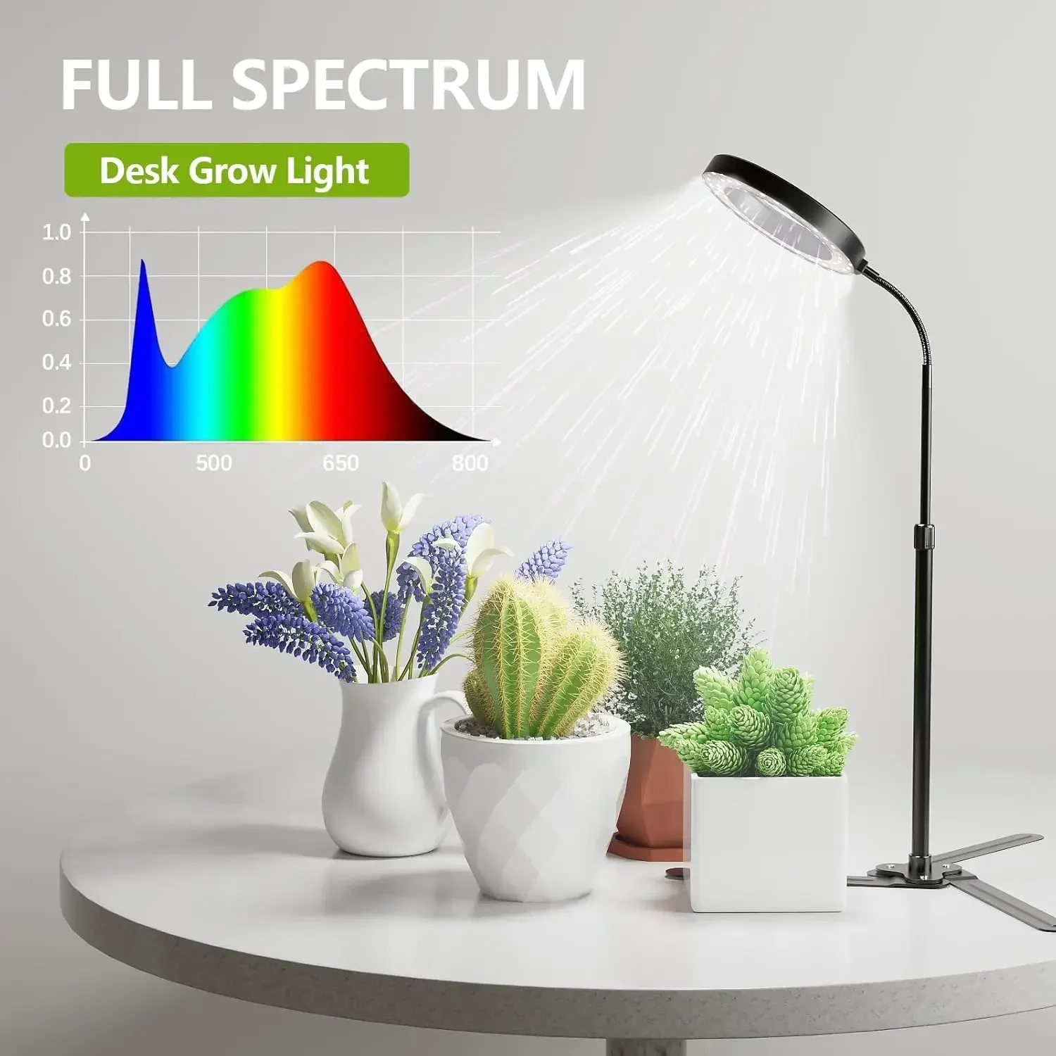 

Plant Growing Lamp for Home Office Indoor Plants,Adjustable Height & Auto Timer Plant Grow Light LED Full Spectrum