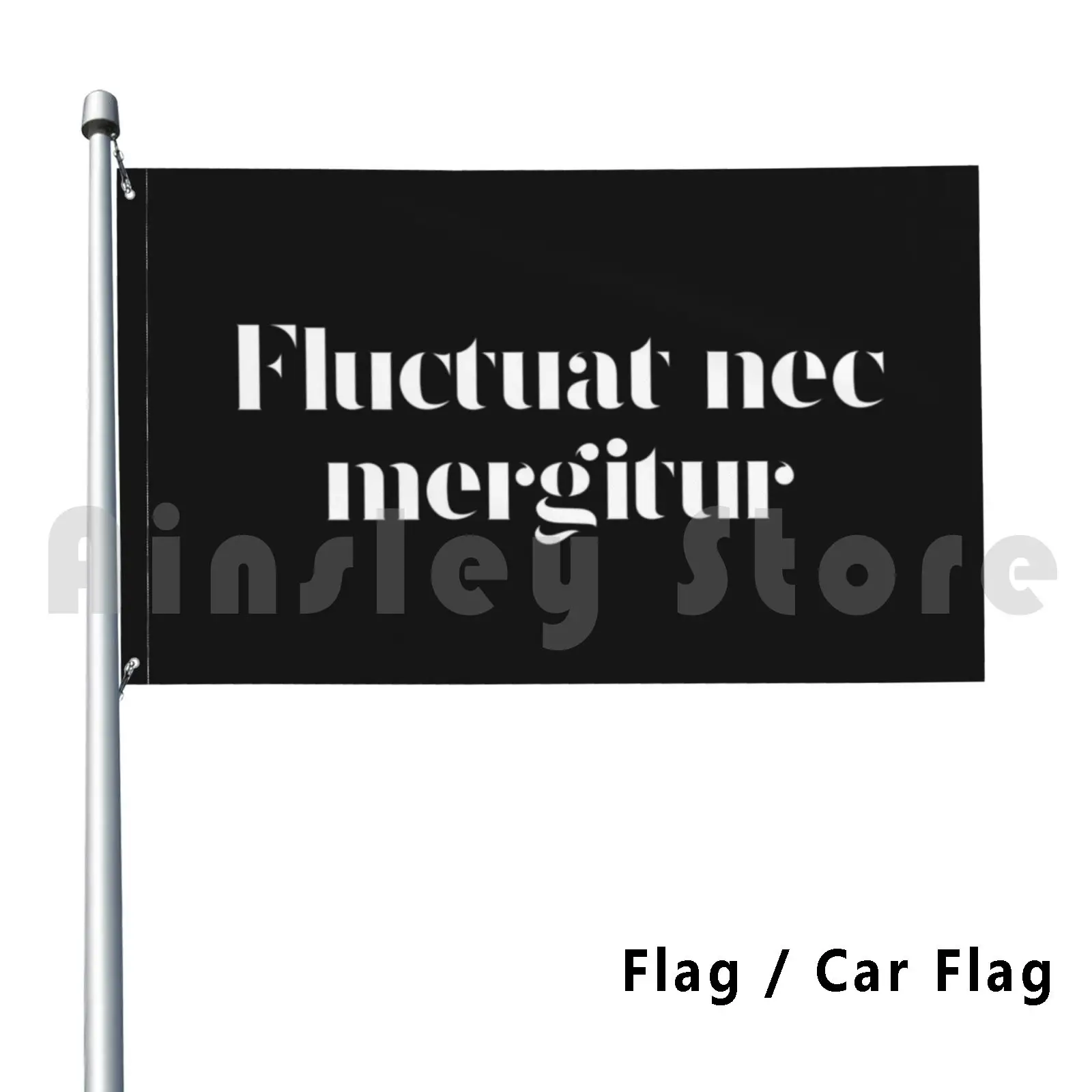 Fluctuat Nec Mergit… - image