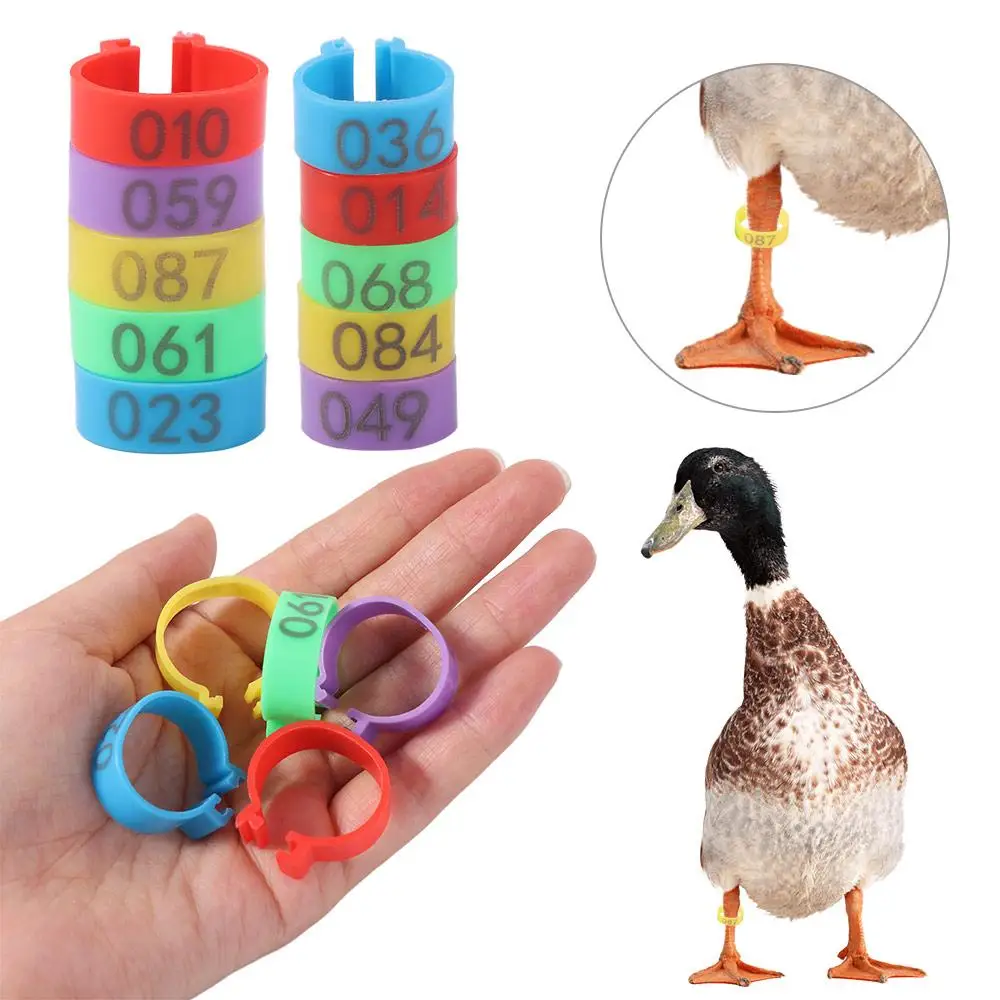 

100pcs Portable Poultry Leg Tags Plastic Mixed Colour Poultry Ankle Bands 5 Colors 16/20mm Chicken Leg Bands Rings