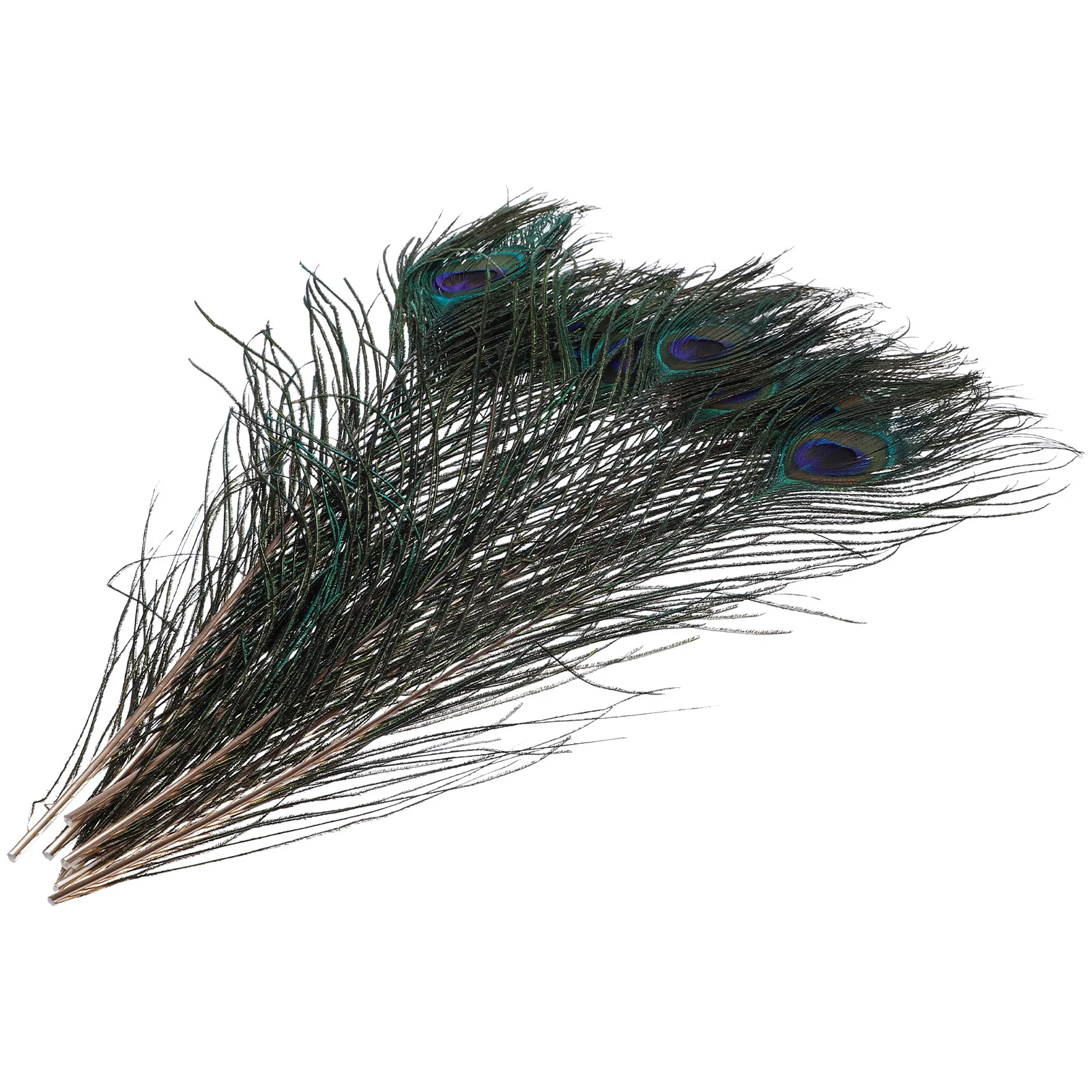 

10Pcs Natural Peacock Plumes Reliable Quality DIY Craft Accessories Wedding Party Vase Decor Peacock Plumes Bulk