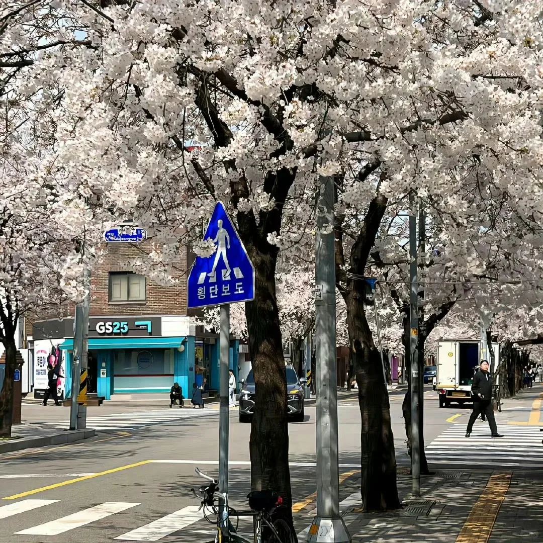 

Car Multimedia Player For Maserati Quattroporte 2004 - 2012 Android13.0 256GB DSP Auto Radio GPS Navigation Head Unit