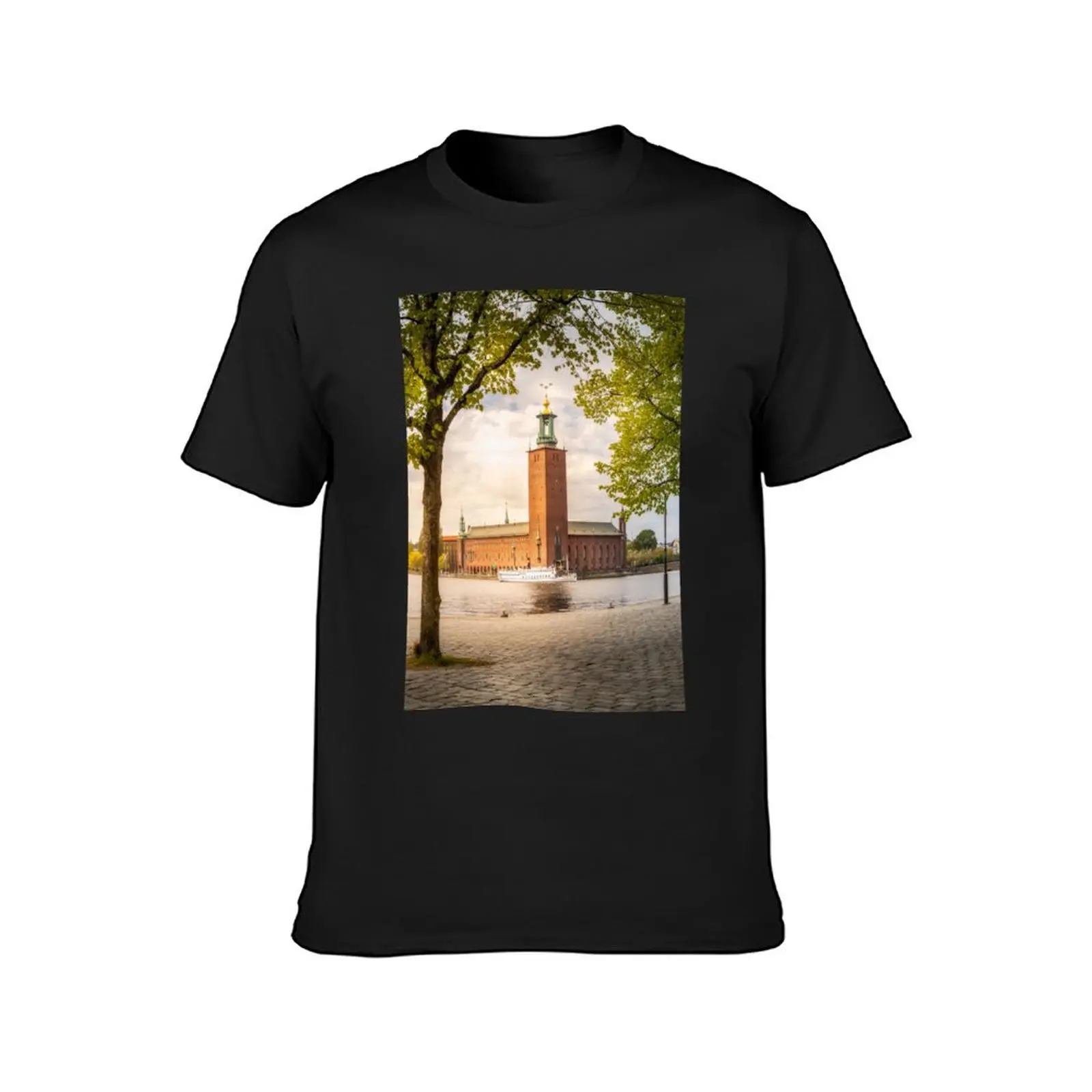 Stockholm City Hall in Spring T-Shirt anime sublime funnys mens graphic t-shirts hip hop