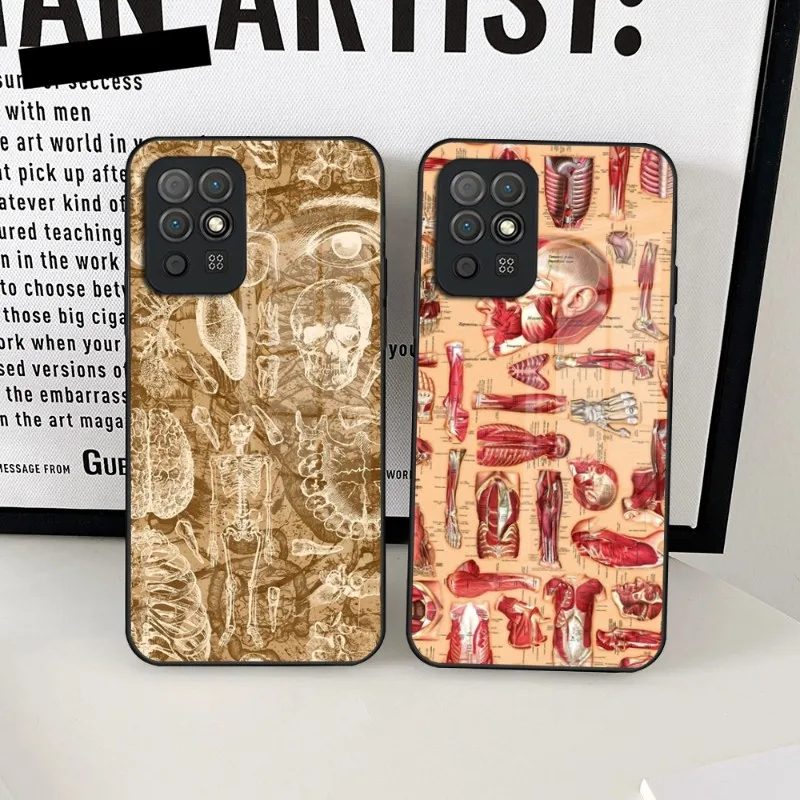 

Medical Human Anatomy Phone Case Glass For Huawei P30 P50 P40 P20 ProPlus Lite Mate 40Pro 30 20 Nove 9 8 7 Pro Cover