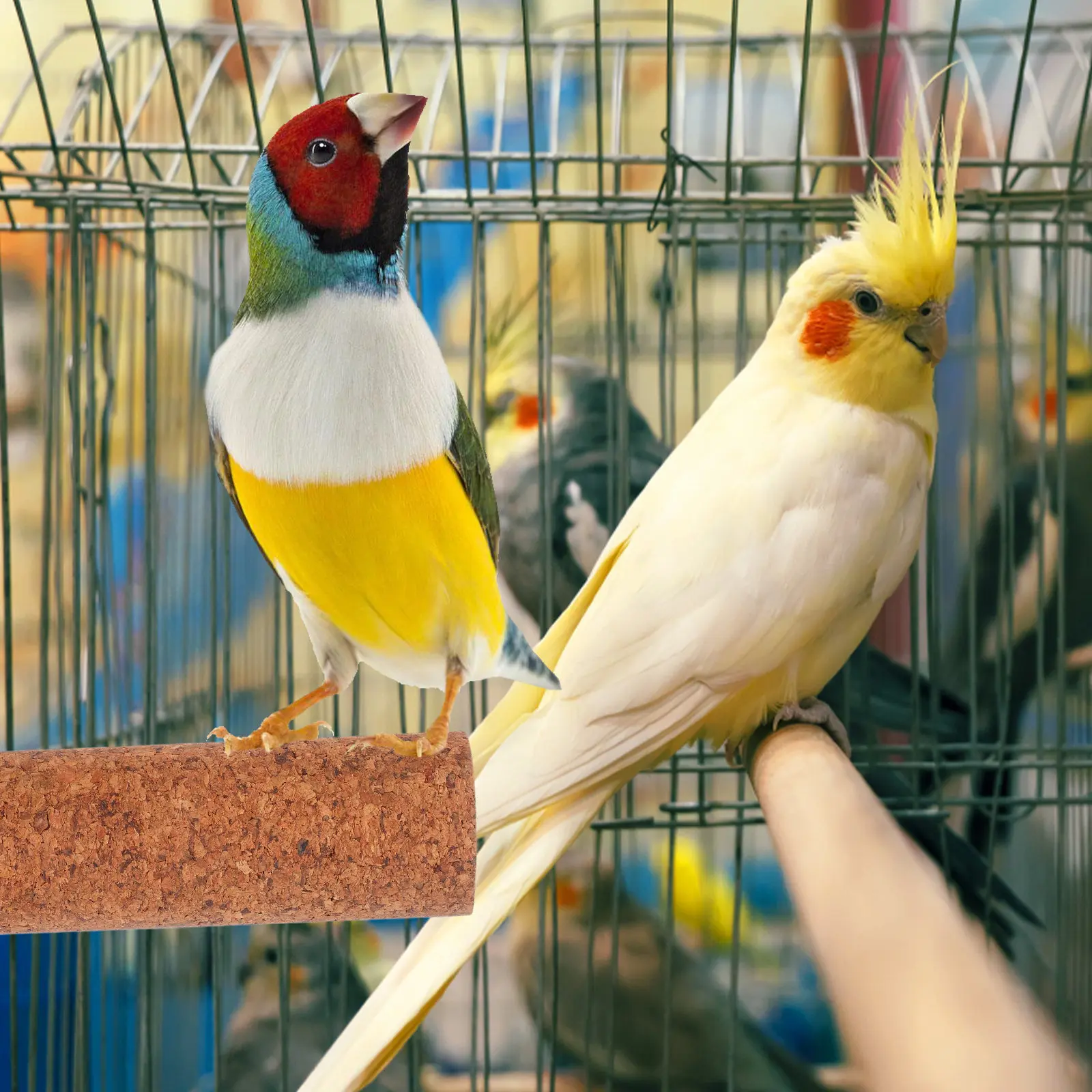 Natural Cork Wooden Parrot Perch Grinding Stick Nail Care Chewing Platform Bird Cage Wood Perch Stick Parrot Stand Pole