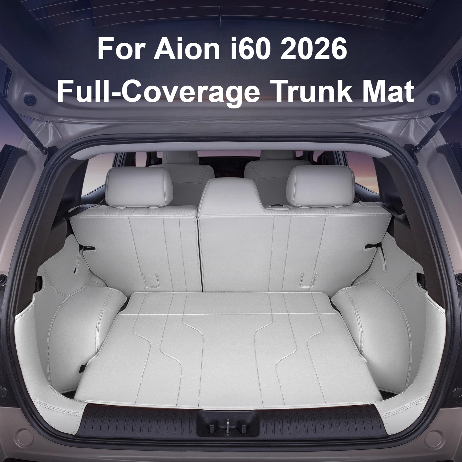 ل Aion i60 2026 التغطية الكاملة فرش داخلي للسيارات والشاحنات الجلدية مقاوم للماء الأوساخ مقاومة الخلفي فرش داخلي تعديل الملحقات #1