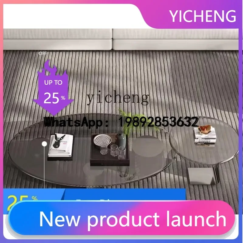 B-3    minimalist small apartment oval gray tempered glass coffee table stainless steel round modern simplicity table