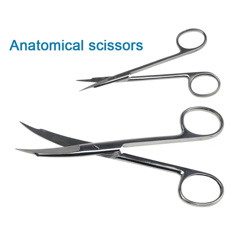 Stainless Steel Surgical Scissors Dissecting Scissors Double-tipped Scissors Dissecting Scissors Surgical Instrument