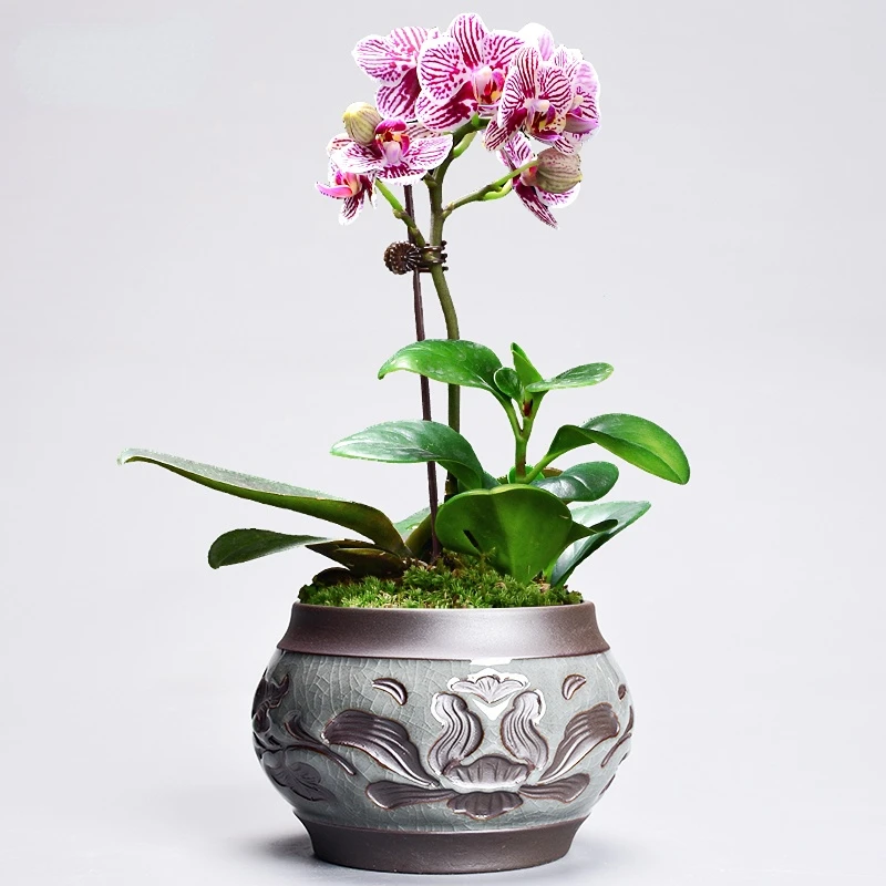 Flower Pot Ceramic Green Plant Chlorophytum Potted Retro Home Succulent Purple Sand Clay Pot Balcony Decoration Ornaments