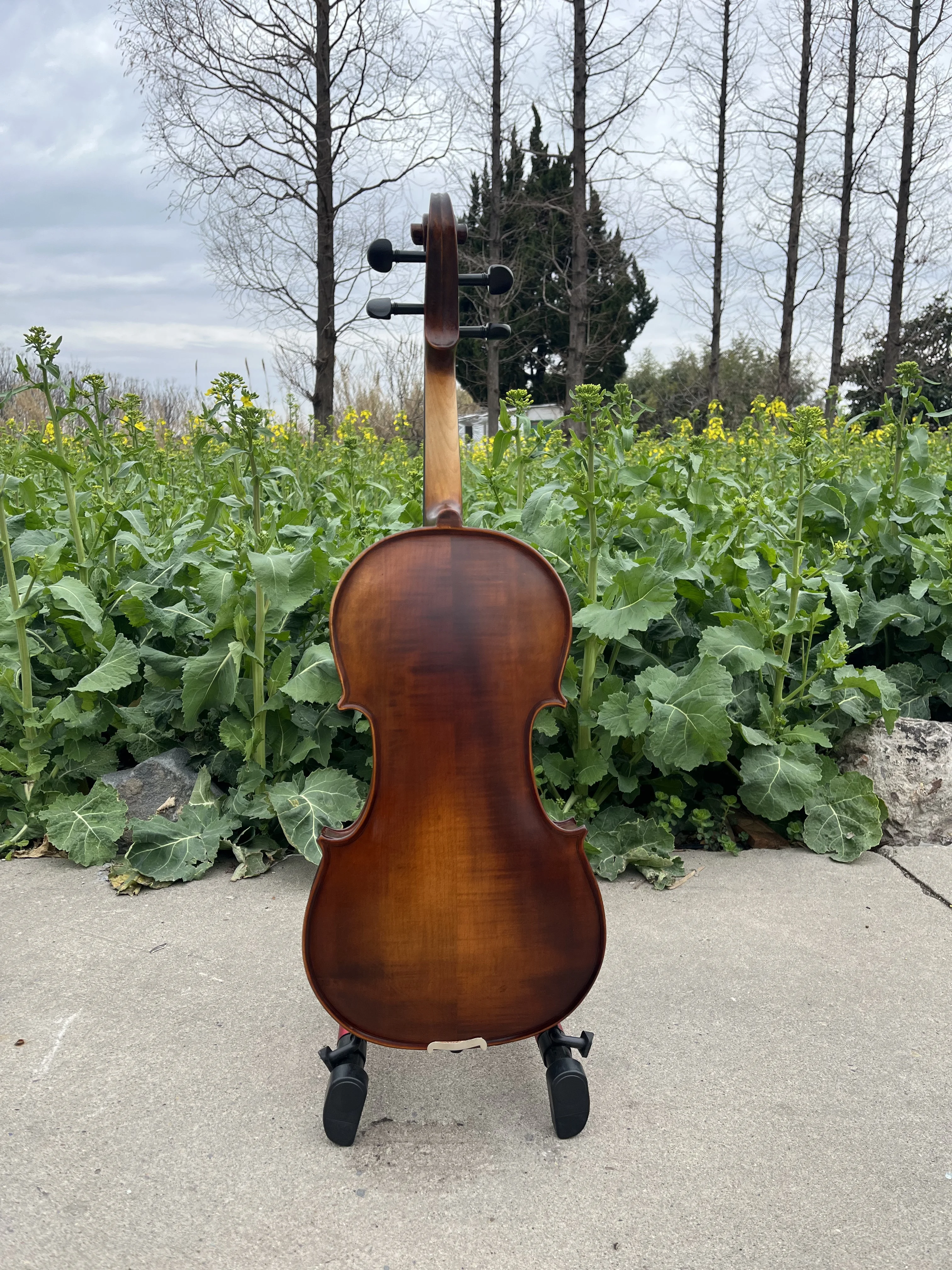 Professional All Solid Viola 4 - Musical Instrument All 评论和价格