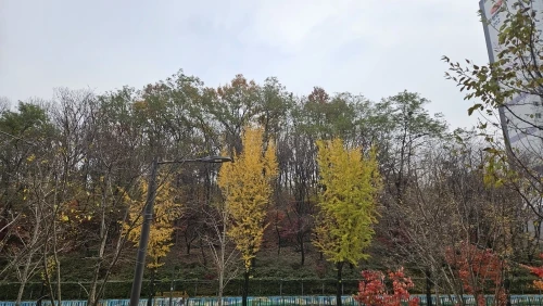 리뷰 사진