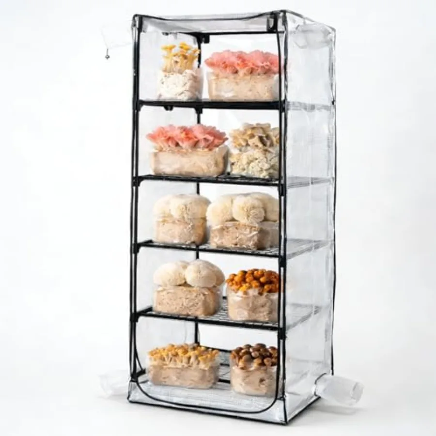 Mushroom Grow Tent for Indoor Mushroom Growing Kit Mini Greenhouse with Sturdy Racks to Hold Trays Fruiting Blocks Grow Kits Co