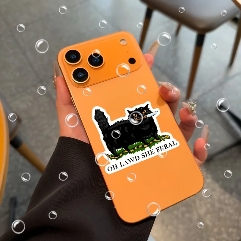 Oh my god, she's a wild black cat 