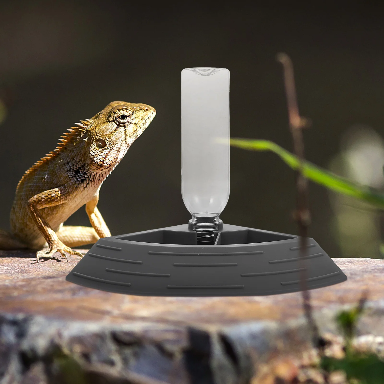 

Reptile Water Feeder Large Capacity Smooth Surface Easy Clean Stable Base For Lizard Drinking Tool Crawling Pet Water