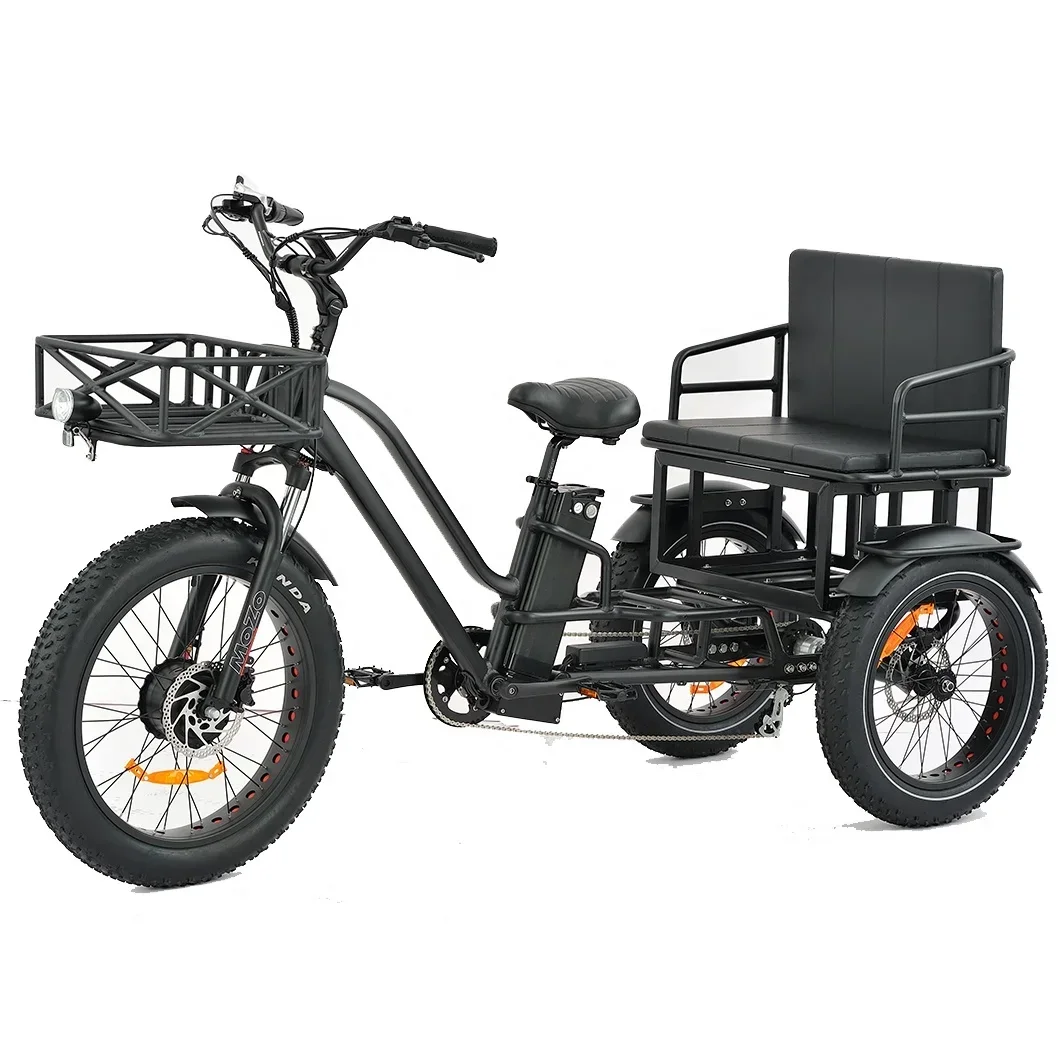 Tricycle Electric Bike Family 3wheel Electric Bike 2 Person Seat Electric Tricycle with Passenger Seat