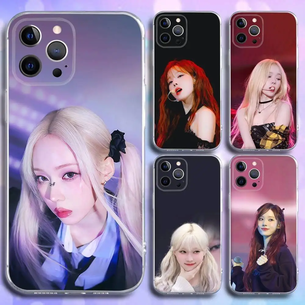 

Singer W-Winter NOBODY Phone Case For iPhone 16e,16,15,14,13,12,11 Plus,Pro,Max,XR,XS,X,Plus,SE,Mini Transparent Soft Cover