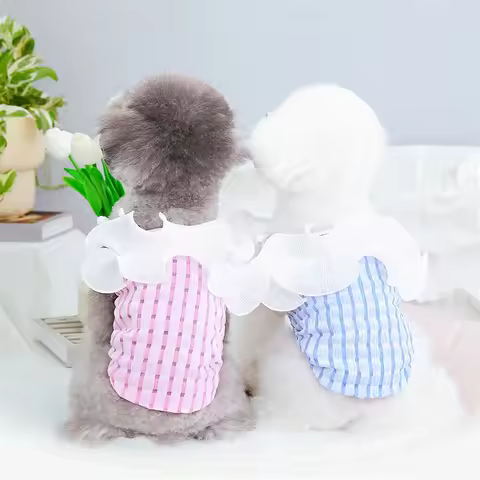 Cat Dog Vest Summer Puppy Clothes T-shirt Pomeranian Poodle Shih Tzu Schnauzer Chihuahua Yorkshire Terrier Small Dog Costume