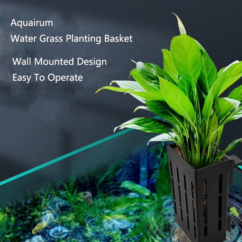 黒水族館植栽バスケット水耕サポート吊り下げ可能な水槽水草カッ - Aquarium Planted Wall のレビューと価格