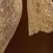 

Yellow Flare Long Sleeve Lace Mermaid Evening Dress Sweep Train Formal Prom Gown African Women Wedding Guest Pageant Custom Size
