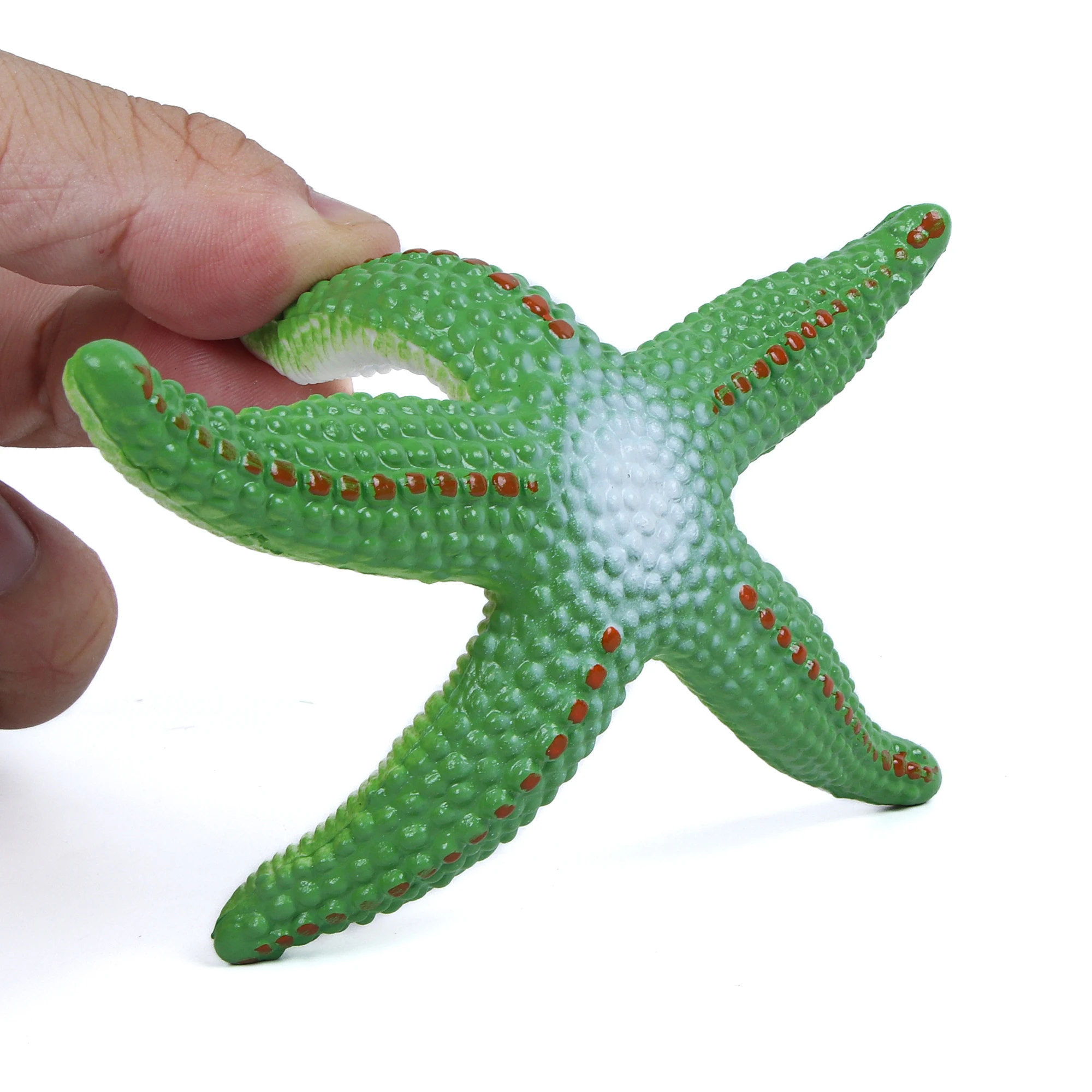 Figurka rozgwiazdy - żywa figurka gwiazdy morskiej 4,5" - zabawka edukacyjna dla chłopców, dziewcząt i dzieci w wieku od 3 lat