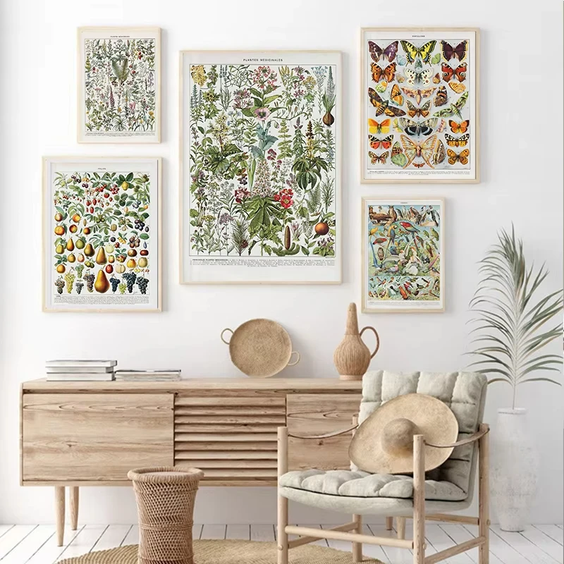 1PC frameless decorative art print,1pc Vintage Aesthetic Poster Plants Insects Vegetables Fish Butterflies Radishes Mushrooms He