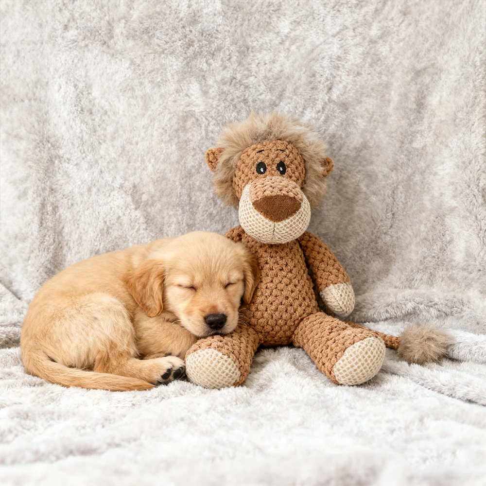 Large Dog Plush Toy Squeak Fleece Durable Chewable Cute Soft Molar Chew for Teething Small Dogs Pet Cartoon Puppy Chew Squeak view 6