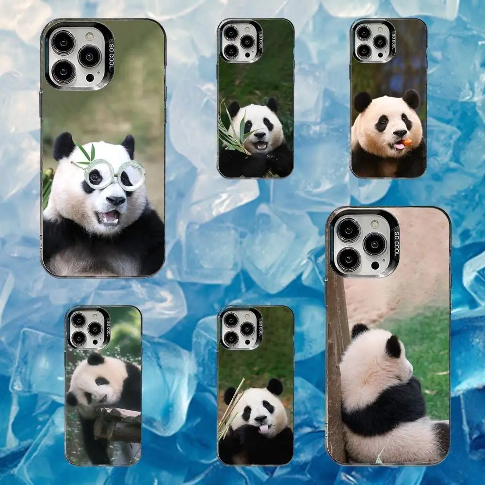 

Animal Panda Fubao Phone Case For iPhone 16,15,14,13,12,11,Mini,Pro,SE,MAX White Matte Shockproof Cover