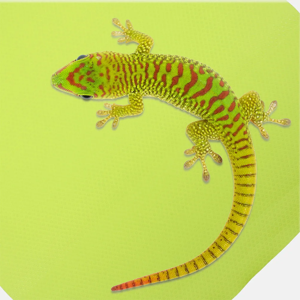 

Reptile Carpet Mat Bearded Dragon Substrate Tortoise Bedding Lizard Tank Accessories Terrarium Flooring EVA Bedding Mat