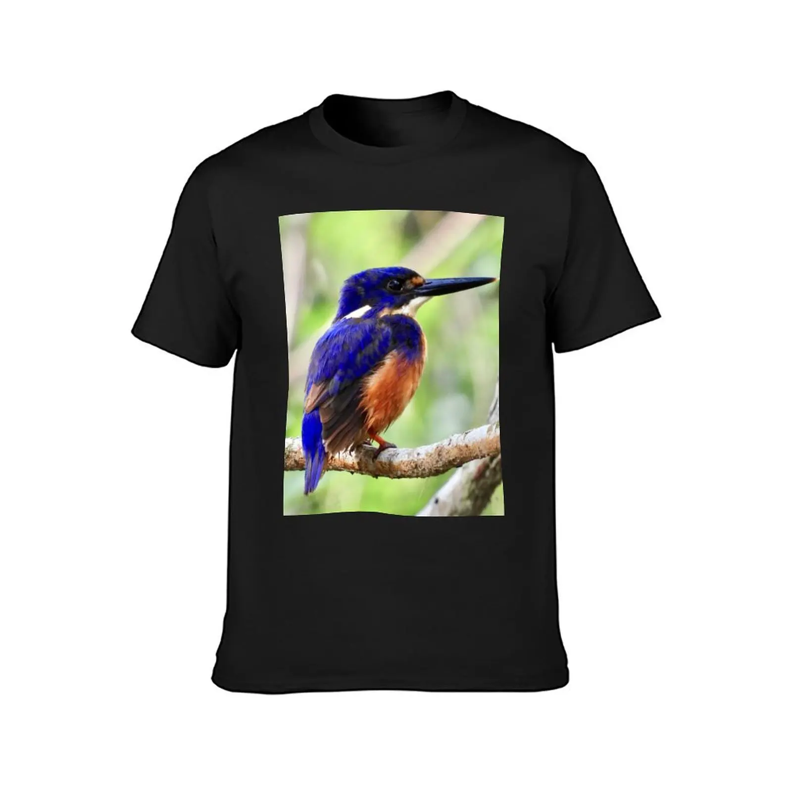 Azure kingfisher looking good T-Shirt customs kawaii clothes mens graphic t-shirts pack