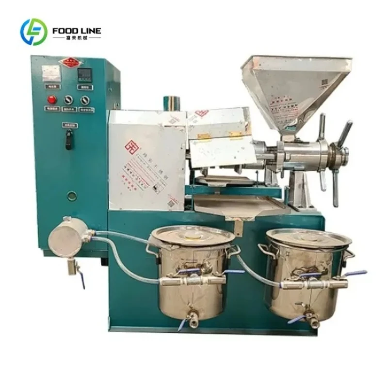 Customized Commercial Oil Extraction Machine Peanut Oil Press for All Seeds Walnut Pumpkin Seed High Yield B2B Supply