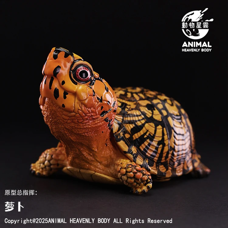 アニマル・ネビュラ・コレクティブル・ボックス・タートル・セット - シリーズ25 詳細な東部・斑点のあるカメのフィギュア