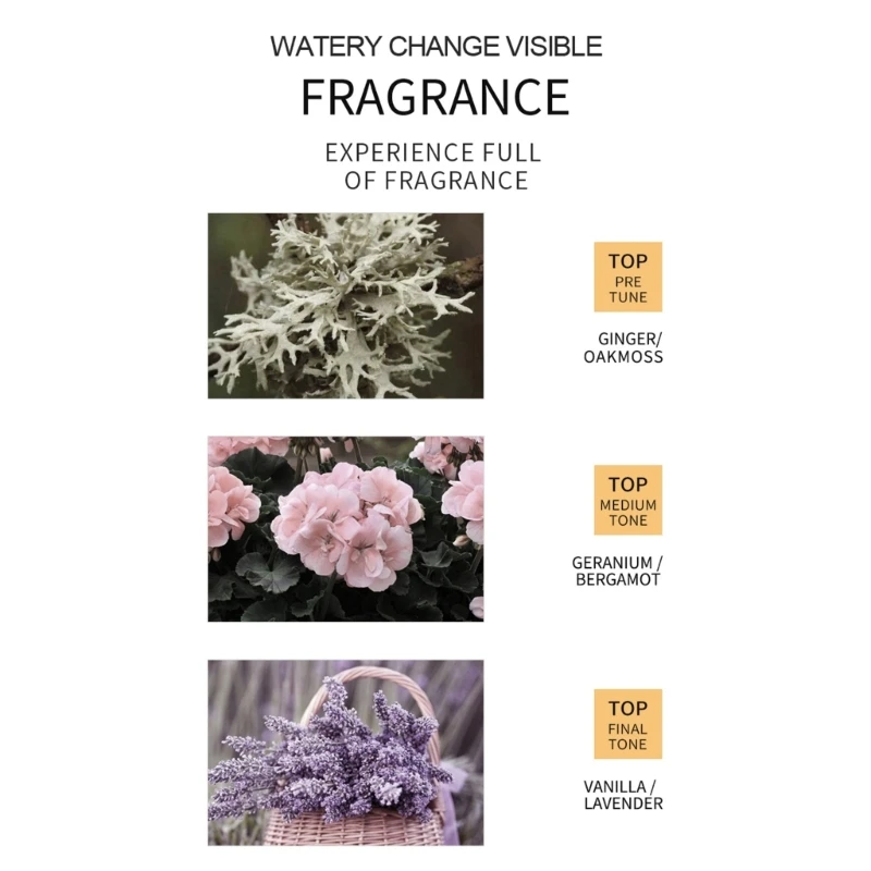 SADOER 30ml esencia jengibre aceite esencial peluquería aceite para cuidado del cabello aceite esencial cabello seco