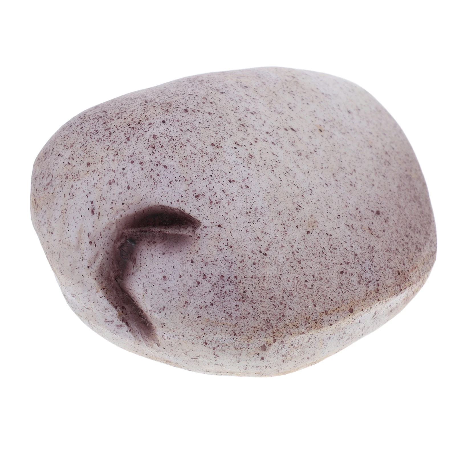 

Simulated Stone Key Box Rock Hiders outside Fake for Storage Decor Rocks Outdoor