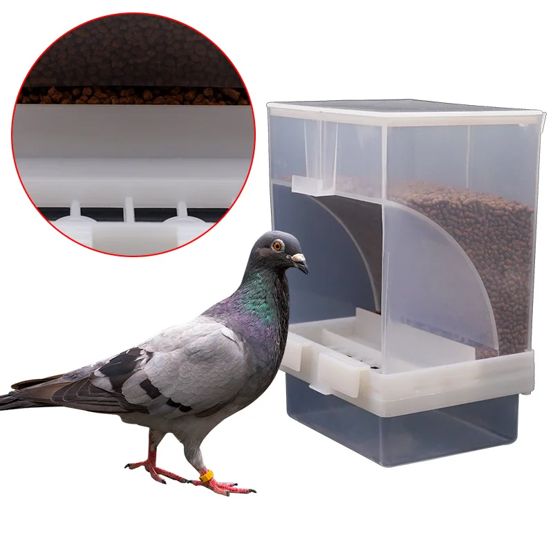 1PC Automatic Parrot Feeder Anti-Spill Transparent Bird Food Box Clear Feeding Device for Parrots Durable Bird Feeding Box