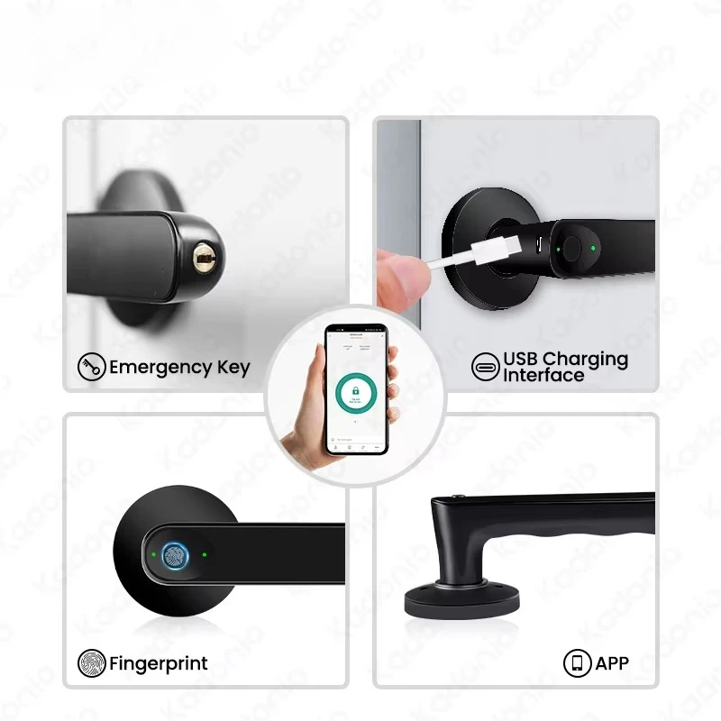 Electric Keyless Doorlock Handle Smart Fingerprint Zinc Alloy Bedroom Door Lock With Key
