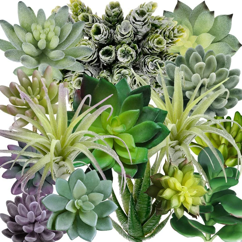 Paquete de 15 Suculentas Artificiales Surtidas Sin Maceta, Cactus Falsos con Textura de Aloe para Arreglos Florales, Decoración de Bodas y Fiestas