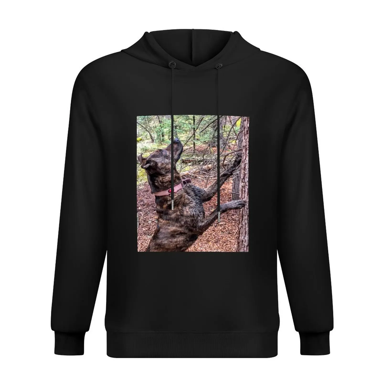 Squirrel Chasing Plott Hound Hoodie men's sweat-shirt autumn jacket men korean clothes men's coat graphic hoodies