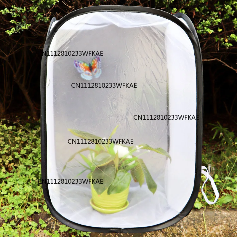 Spring Observation Butterfly Cage Mantis Folded Insect Feeding Cage Cultured from Larvae