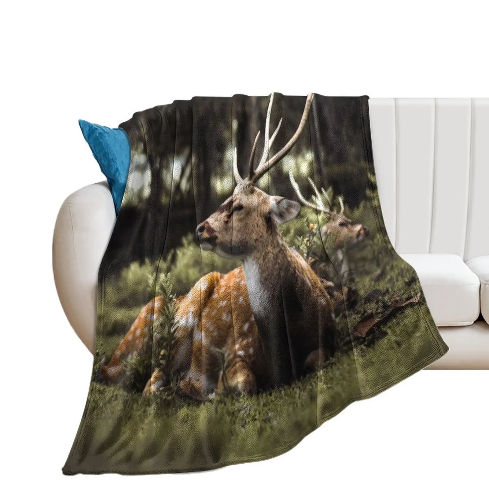 

deer in the forest Throw Blanket Camping Beautifuls for sofa Luxury Brand Blankets