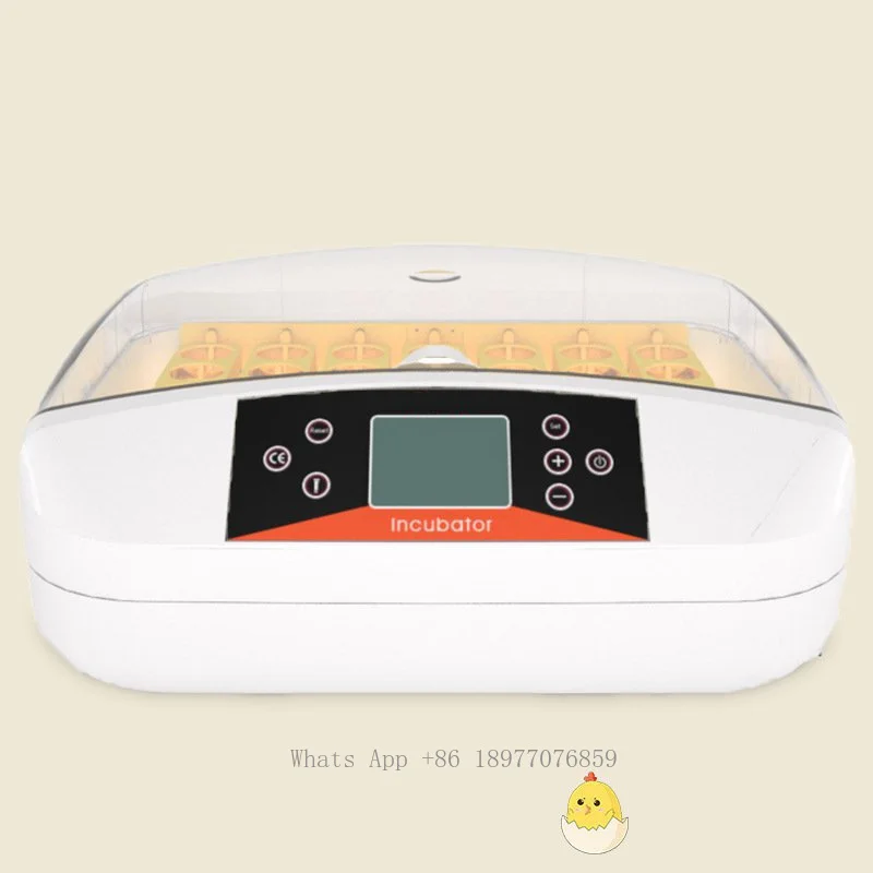 Hot Selling Pet Breeding Fully Automatic Incubator Small Electric Intelligent Home Constant Temperature Incubator