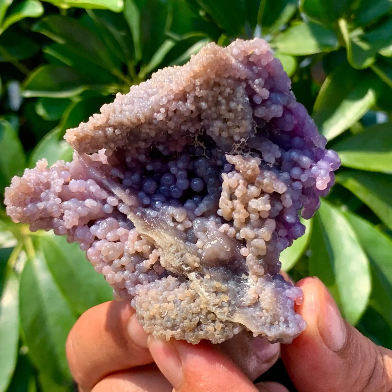 Best Natural Grape Agate Original Ore Quartz Crystal Mineral Reiki Healing Wealth Gem Home Office Degaussing Decoration