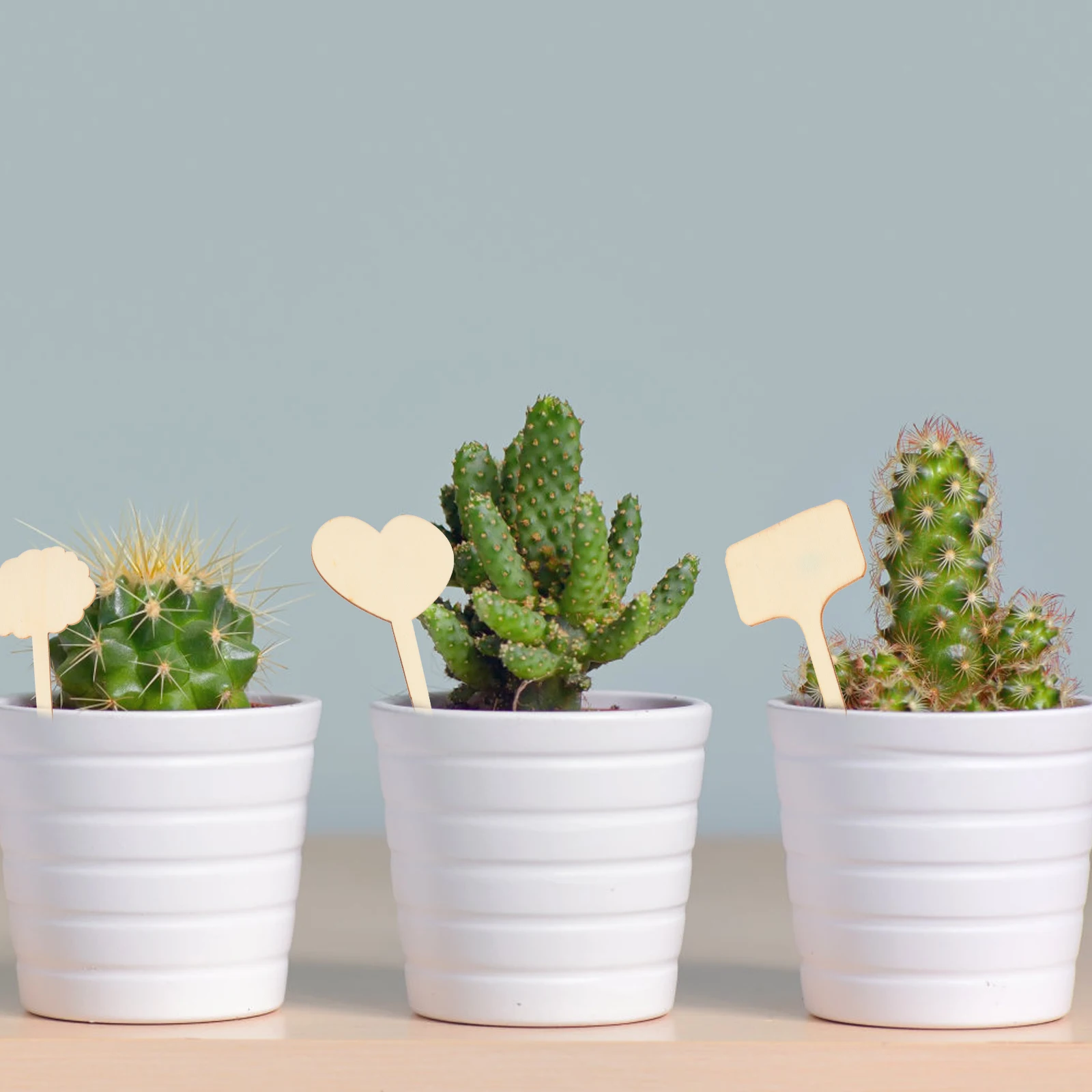 

50pcs Plant Labels Large Waterproof Gardening Tags Reusable Wooden Markers for Garden Seedlings Plants Nursery