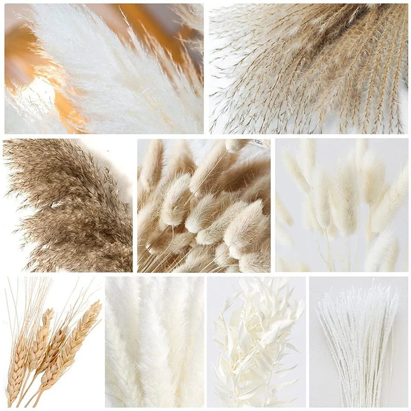 79 sztuk naturalne suszone puszyste Pampas trawy bukiet zestaw, Boho Home Decor pompatyczna trawa duża trzcina Bunny Tail pszenicy łodygi dekoracyjne