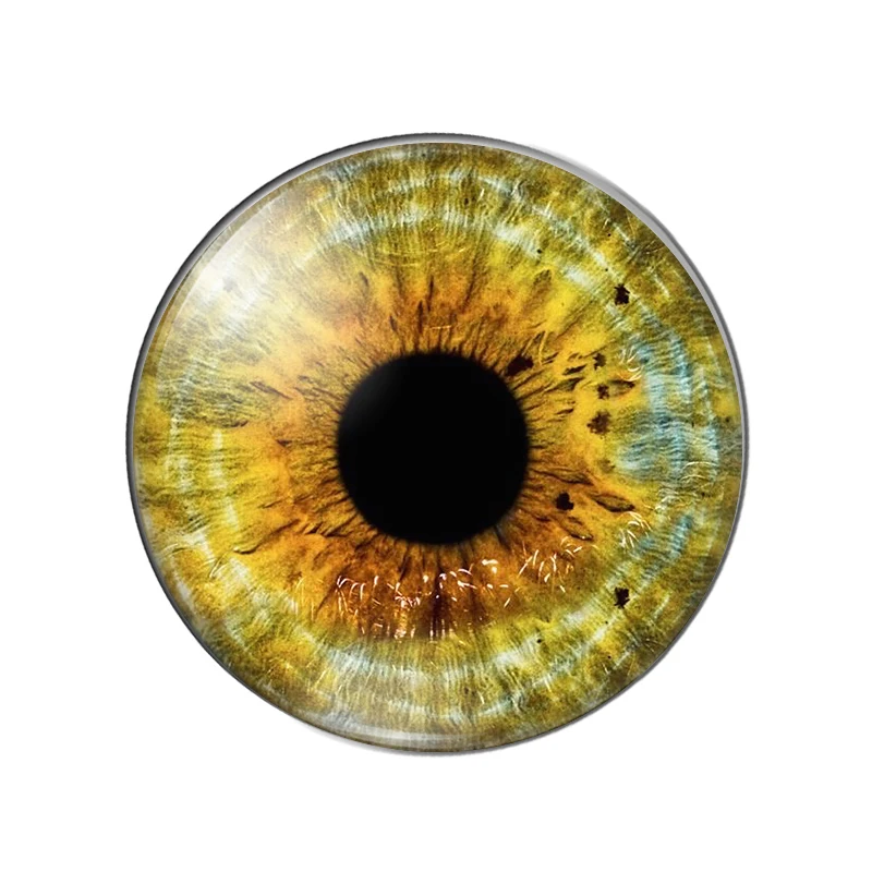 glass eyes cabochons Round 8MM-30MM Round Dome Dragon Eye Dragon Cat Eye Toys DIY Jewelry Accessory MIX Pupil Eye Cameo