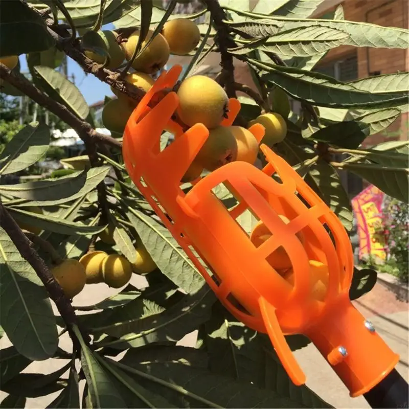 C7AC Сборщики фруктов Loquat Bayberry Пластиковый садовый инструмент для сбора фруктов Ловец для сада Ручной персик Слива груша