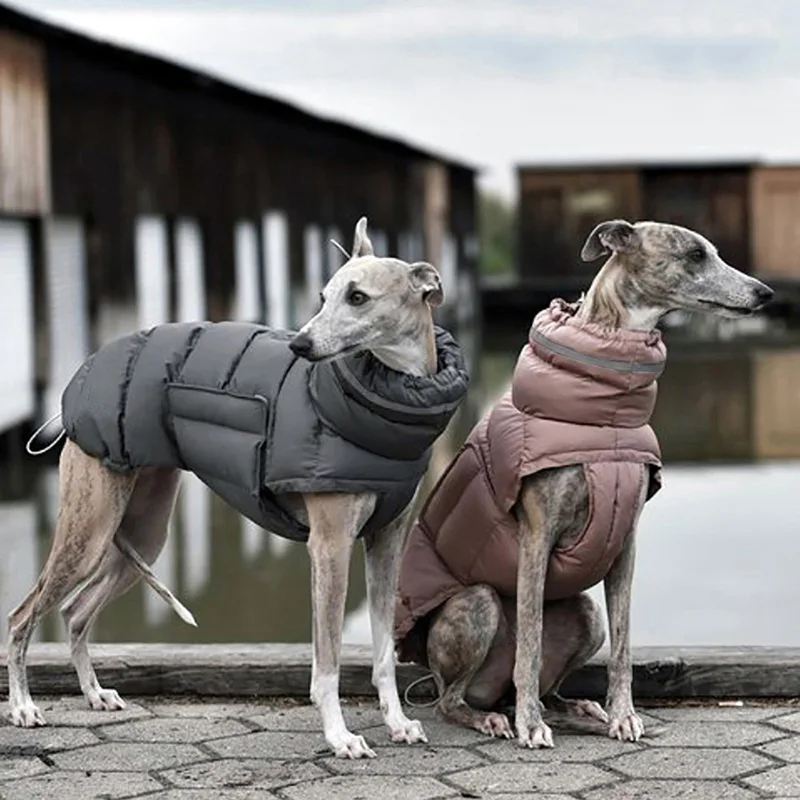 High Collar Dog Down Jacket Winter Waterproof Pet Clothes for Small Medium Dogs Greyhound Weimaraner Jacket Coat ubranie dla psa