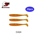 CA24