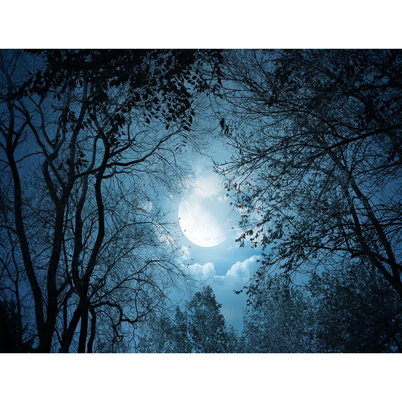 Halloween Photography Backgrounds Castle Gate Ghost Pumpkin Photo Backdrops For Studio Props Decor WSJ-02