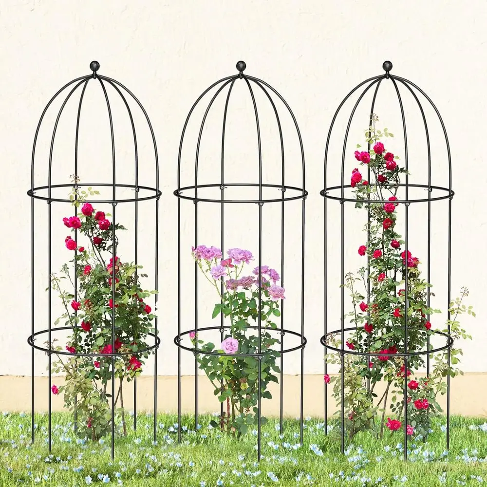 Paquete de 3 Jaulas Metálicas para Plantas, 47 cm de Altura, para Peonías, Tomates, Rosas, Obeliscos, Enredaderas, Torres, Clemátides y Jazmín, Aptas para