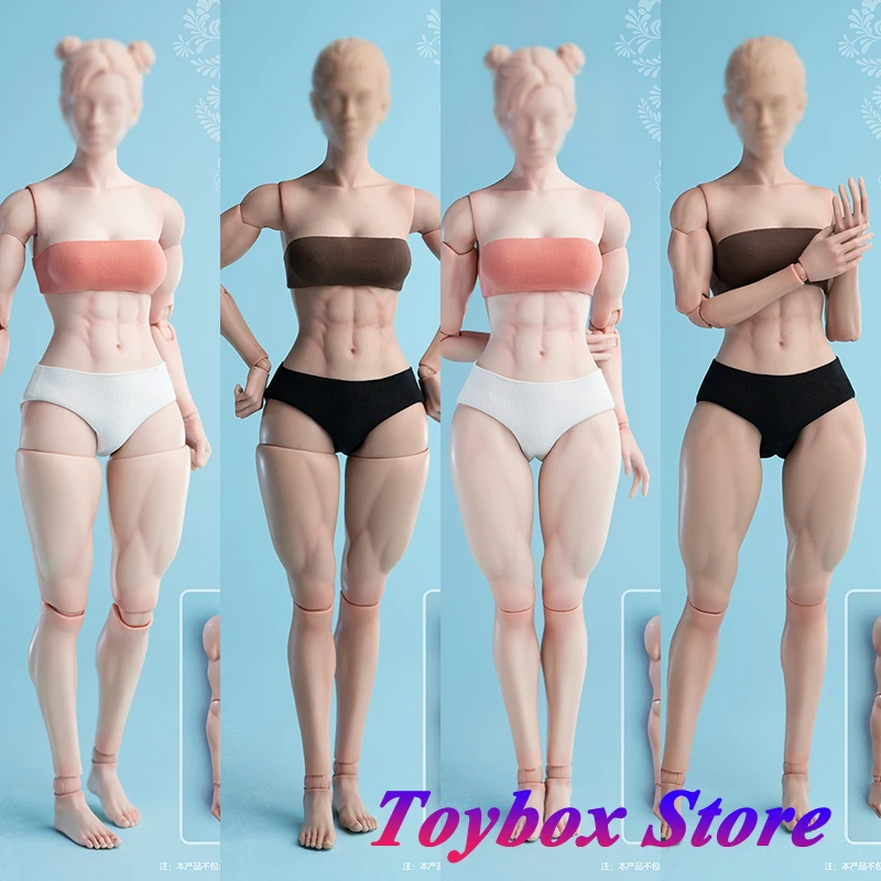 in-stock-worldbox-at206-pale-light-tan-muscular-version-1-6-fitness-sports-female-soldier-movable-body-for-12-action-figure-toy