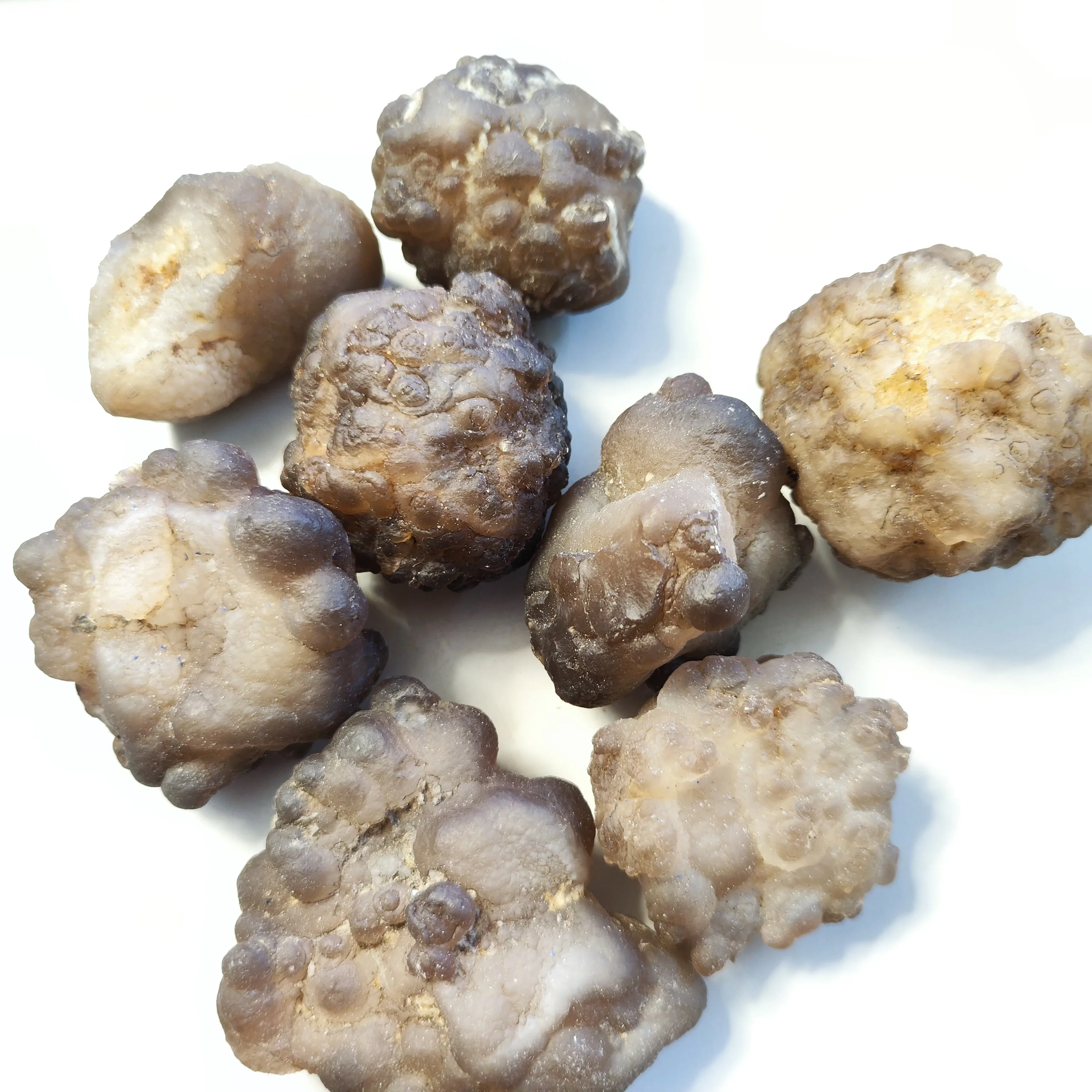 

Natural Stone Gobi Agate Crystal Quartz Beautiful Magic Mineral Specimens With Various Shapes Panda Agate Gobi Home Decoration